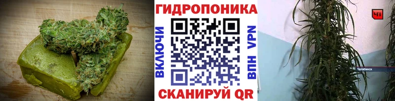 Canna-Cookies марихуана  Куровское 